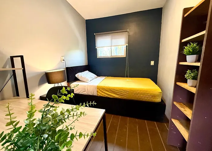 Roomies - Santamaria México DF